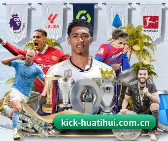 HTH中国入口 APP
