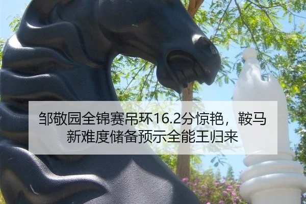 zou-jing-yuan-quan-jin-sai-diao-huan-fen-jing-yan-an-ma-xin-nan-du-chu-bei-yu-shi-quan-neng-wang-gui-lai-3-882.jpg